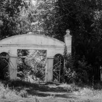 Ворота в старый парк :: Наталья Усенко