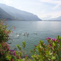 Женевское озеро :: Sasha Berg