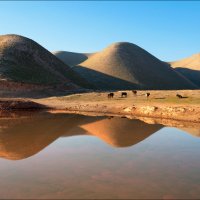 У водопая :: Георгий Ланчевский