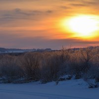 Рассветный свет. :: Галина 