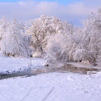 Красавица зима... :: Елена Васильева