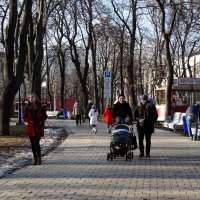 Погожий зимний  день в  "Университетском парке" :: Владимир Бровко