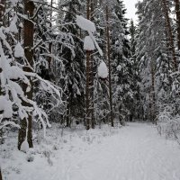 85 :: Владимир Пензин