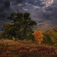 Перед грозой . :: Александр Макурин