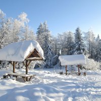 Как прекрасен заснеженный мир!!!! :: Томчик Подольская