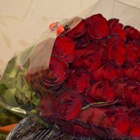 розы :: Дарья Левина