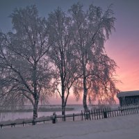 Очарование зимы. :: надежда губина 