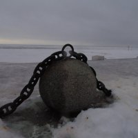 Финский залив :: ii_ik Иванов
