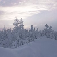 Зимний таёжный вечер в канун Крещения... :: Николай 