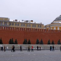 У Кремлёвской стены :: Владимир Болдырев