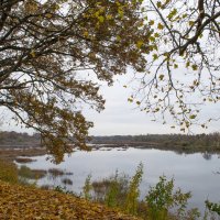 Осень :: juljawka 