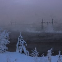 Фрагмент с ёлками, тёплым каналом и ЛЭПом :: Николай 