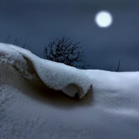 Лунная ночь :: Валерий Талашов