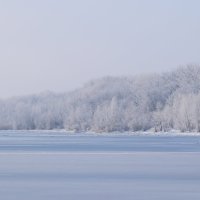 Кумженская роща зимой с правого берега Дона :: Agnivarshi Малтыз