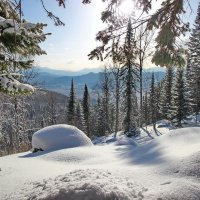 зима и солнце... :: Александр Рождественский