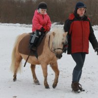 А говорили будет Буцефал...................... :: Tatiana Markova