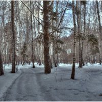 Вечер в зимнем лесу :: Сергей Афонякин