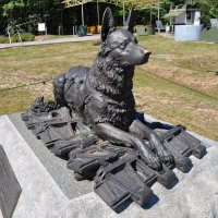 Памятник собаке :: Аня Тёмная