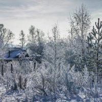 Зимний день :: Владимир Буравкин