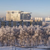 заснеженное Ясенево :: Лариса Батурова