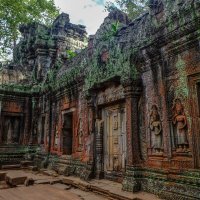 Камбоджа. В храме Та-Пром. XII век. :: Rafael 