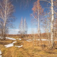 Последний снег :: Любовь Потеряхина