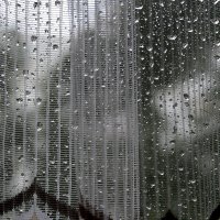 Летний  дождь... :: Валерия  Полещикова 