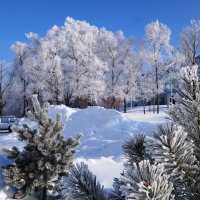 Красивый зимний день :: Виктория Коплык