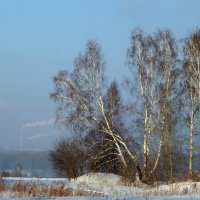 Акварель невесомой зимы :: Галина Кан