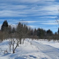 В поисках зимы 3 :: Нина Сигаева