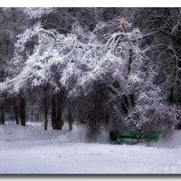 Зима в парке :: GaL-Lina .