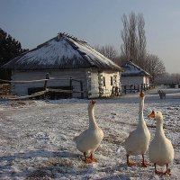 На хуторе :: Rechnoy skitalec 