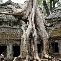 Храмовый комплекс Ангкор Ват :: Александр Рейтер