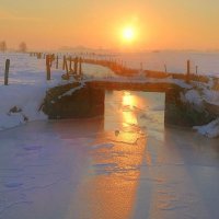 A wintermorning in Lampernisse. :: Johny Hemelsoen 