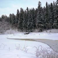река Лососинка во льдах :: Юлия Кондратьева