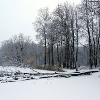 На речке зимой :: Татьяна Гурова