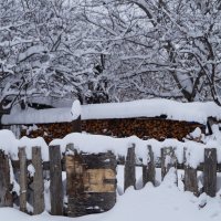 перезимуем.... :: Альбина 