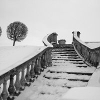 Марлинский вал зимой. Лестница. :: Lesya Vi