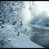 Холодная река :: Maxim Agafonoff