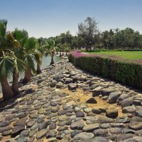 Safa park UAE :: Freol Freol