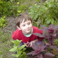 мальчик смотрит на растение :: Сергей Дихтенко