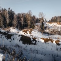 На краю леса :: Павел Корнеев