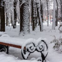 Рязанская зима :: Алексей Агалаков