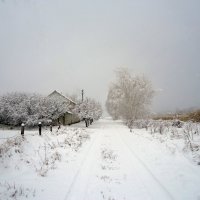 Зима :: Виктория Власова