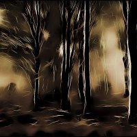 Светящийся лес. :: Алексей Бажан
