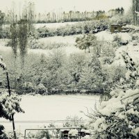 Снегом замело... :: Шамиль Аликулиев