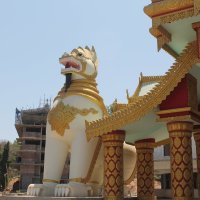 лев буды Випсан Глобаль Пагода Мумбаи. :: maikl falkon 