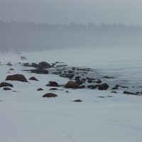 Зимняя дымка :: Алексей К