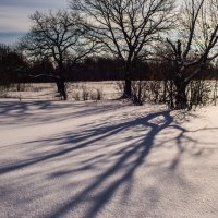 Снег и тени :: Андрей Зайцев