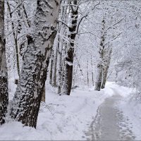Настоящая зима! :: Марина Шубина